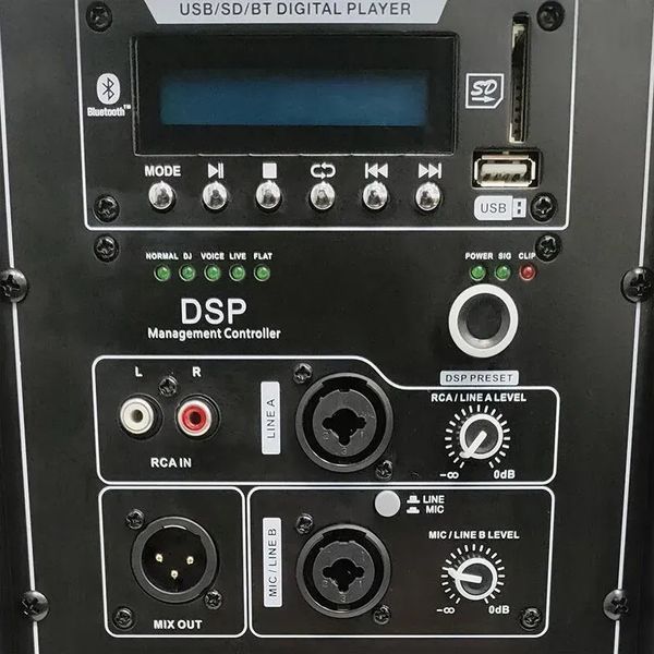 Акустическая система DNA SPX12 DSP 589364 фото