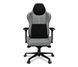Комп'ютерне крісло для геймера Yumisu 2050 Magnetic Light Gray/Black Mesh (Y-2050F-LB-M) 615261 фото 2