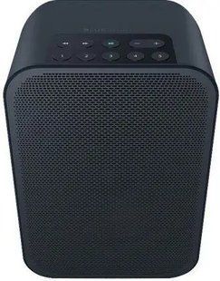 Портативна колонка Bluesound Pulse Flex 2i Black 034151 фото