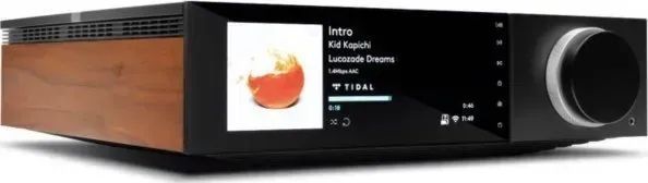 Интегральный усилитель Cambridge Audio EVO 150 592544 фото