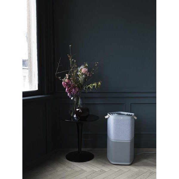 Воздухоочиститель Electrolux Pure A9 PA91-404GY 025995 фото