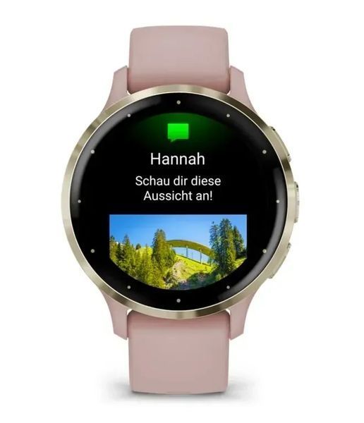 Смарт-годинник Garmin Venu 3S Soft Gold S. Steel Bezel w. Dust Rose Case and S. Band (010-02785-03/53) 613089 фото