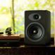 Акустична система AudioEngine A5+ Black 003892 фото 3