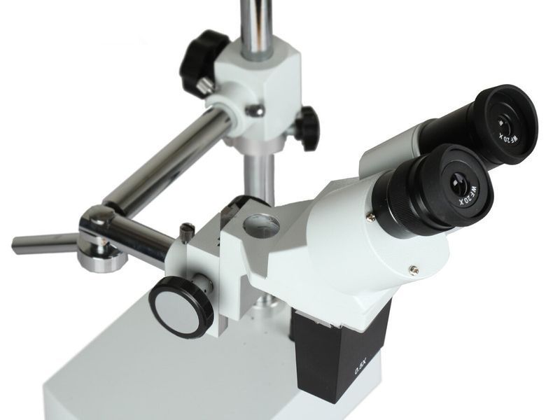 Микроскоп DELTA OPTICAL Discovery L 712445 фото