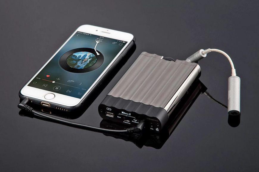 Усилитель для наушников IFI AUDIO xCAN 712307 фото