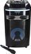 Power audio BLAUPUNKT PS6 Мікрофон Караоке Чорний 562829 фото 5