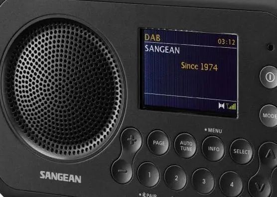Радиоприемник Sangean DPR-76BT Black 039119 фото