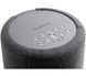 Мультимедійна акустика Audio Pro A10 Dark Grey 028448 фото 2