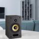Акустические колонки Davis Acoustics Ariane 1 Light Oak 601626 фото 6