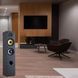 Акустические колонки Davis Acoustics Ariane 5 Black 601627 фото 3