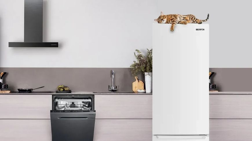 Холодильник з морозильною камерою Grifon NFN-180W 580757ua фото