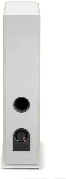 Акустические колонки Focal Vestia N2 Light Wood 601744 фото