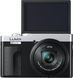 Компактний фотоапарат Panasonic Lumix DC-TZ99E-S 592942 фото 1