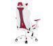 Компьютерное кресло для геймера Diablo Chairs X-One 2.0 Normal Size Candy Rose 615234 фото 4
