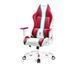 Компьютерное кресло для геймера Diablo Chairs X-One 2.0 Normal Size Candy Rose 615234 фото 3