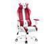 Компьютерное кресло для геймера Diablo Chairs X-One 2.0 Normal Size Candy Rose 615234 фото 1