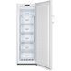 Морозильная камера Gorenje FN4172CW 025116 фото 2