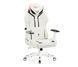 Комп'ютерне крісло для геймера Diablo Chairs X-Ray 2.0 Normal Size White/Black 615243 фото 1