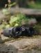 Бинокль Focus Observer 8x42 ED 589683 фото 1