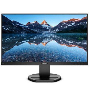 Монитор Philips 252B9/00, 252B9/01 027820 фото