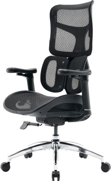 Игровое кресло SIHOO Doro S100 Черный 1281725 фото