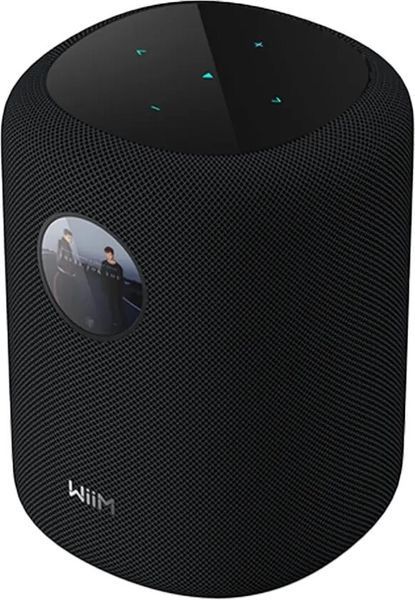 Колонка Multiroom/Bluetooth WIIM Sound Черный, 100 Вт, Wi-Fi 6, Bluetooth 5.3 LE, Цветной дисплей, Hi-Res Audio 24 бит/192 кГц 2104844 фото