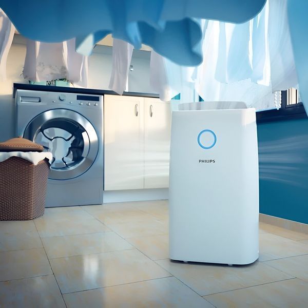 Осушувач повітря PHILIPS DE3306/11 2071415 фото