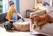 Пилосос Bissell Pet Pro Plus 37252 031742 фото 8