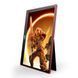 Портативный монитор AOC GAMING 16G3 033179 фото 3