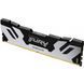 Память для настольных компьютеров Kingston FURY 48 GB DDR5 6400 MHz Renegade Silver (KF564C32RS-48) 033817 фото 2
