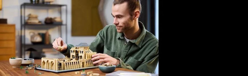 Блочный конструктор LEGO Architecture Собор Парижской Богоматери (21061) 613470 фото