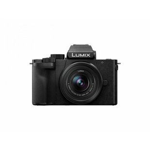 Беззеркальный фотоаппарат Panasonic Lumix DC-G100D kit (12-32mm f/3,5-5,6) (DC-G100DKEGK) 004259 фото