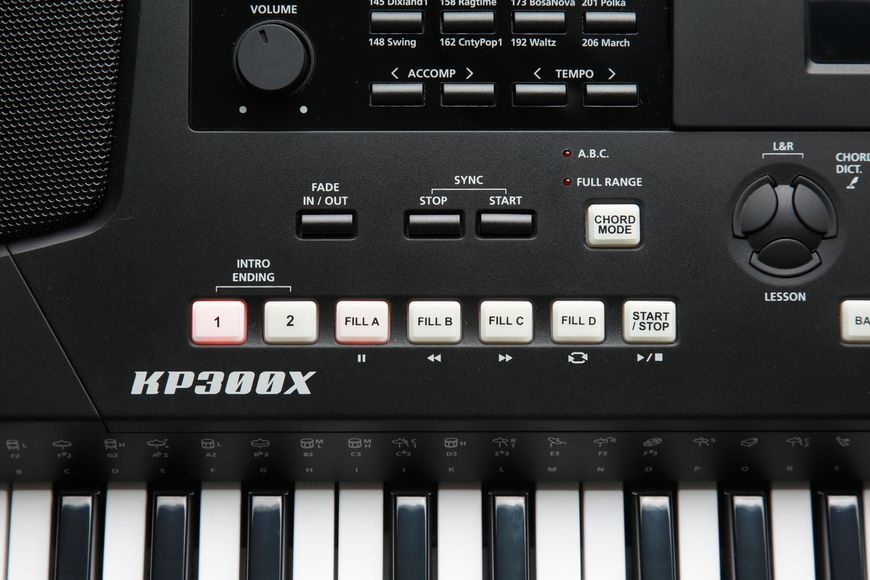 Клавіатура KURZWEIL KP300X Чорний 2008918 фото