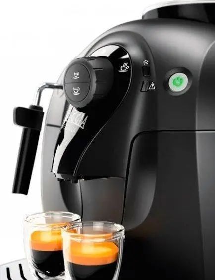 Кофемашина автоматическая Gaggia Besana RI8180/01 016243 фото