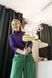 Пароочиститель Karcher SC 3 Deluxe Anniversary Edition (1.513-436.0) 573041 фото 7