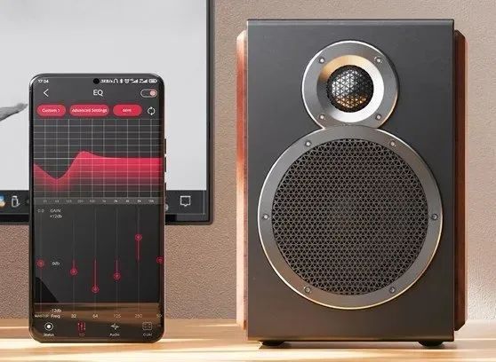 Акустична система FiiO SA1 Black 589366 фото