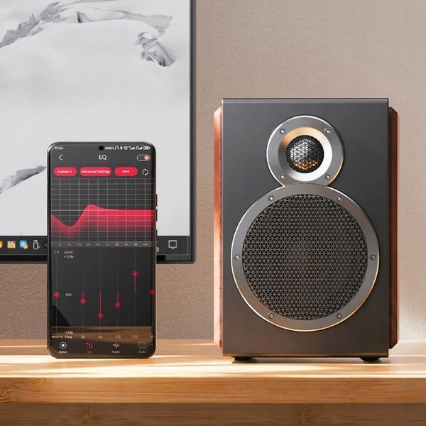 Акустична система FiiO SA1 Black 589366 фото