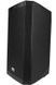 Power Audio DNA SPX10 DSP, 250 Вт, Bluetooth, вхід XLR, вхід USB 2063449 фото 3