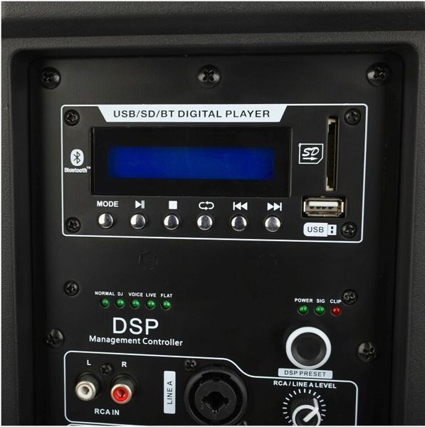 Power Audio DNA SPX10 DSP, 250 Вт, Bluetooth, вхід XLR, вхід USB 2063449 фото