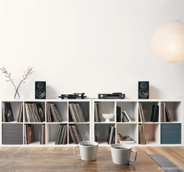 Акустичні колонки Dynaudio Emit 20 Walnut 601640 фото