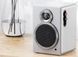 Акустична система FiiO SA1 White 589367 фото 8