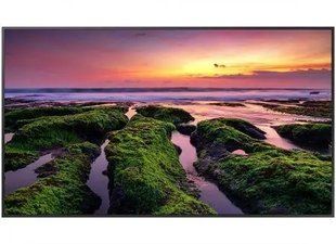 ЖК монитор Samsung QB43B (LH43QBBEBGCXEN) 037161 фото