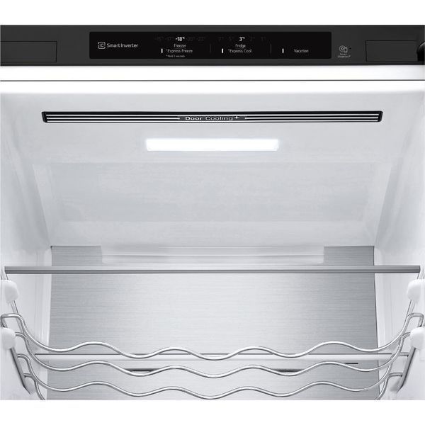 Холодильник з морозильною камерою LG GBV7280AEV 041211 фото