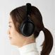 Наушники с микрофоном Final Audio UX3000 Black 608425 фото 9