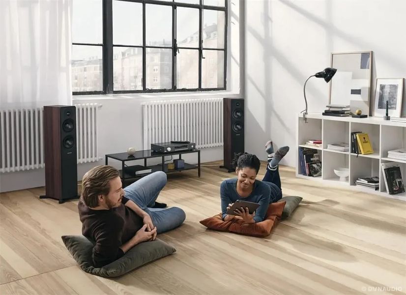 Акустические колонки Dynaudio Emit 30 Nut 601642 фото