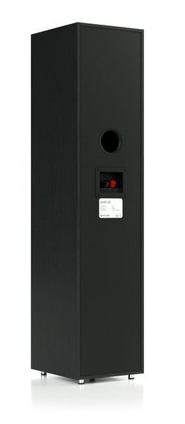 Колонка напольная PYLON AUDIO Pearl 20 Черный (1 шт.) 2016402 фото