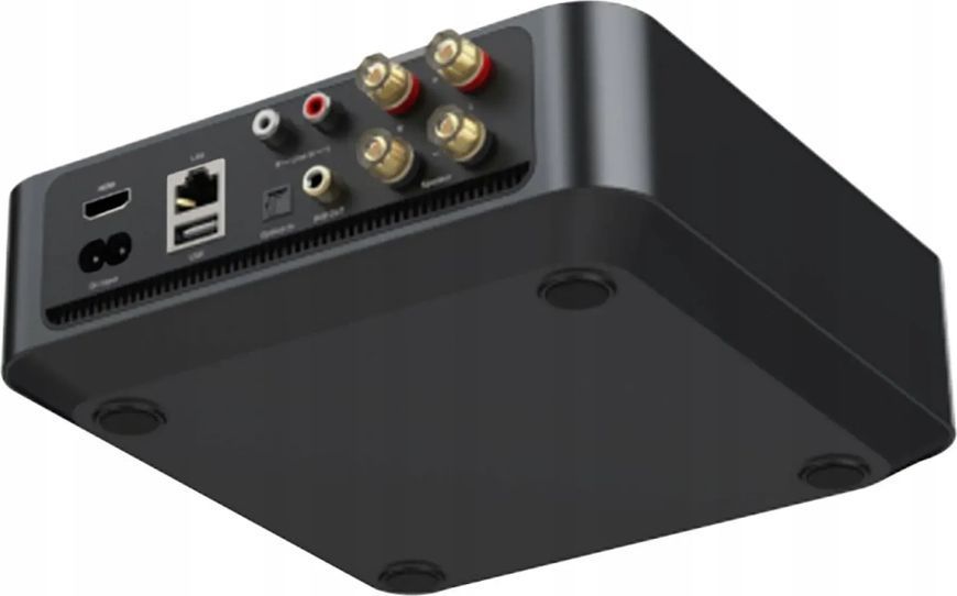 Усилитель сетевой WiiM Amp Space Gray 597207 фото