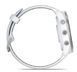 Смарт-часы Garmin Forerunner 965 Titanium Bezel w. Whiteston Case and Whiteston/Powder Gray S. Band (010-02809-01/11/8) 613073 фото 5