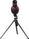 Подзорная труба Levenhuk Blaze PRO 70 034999 фото 9