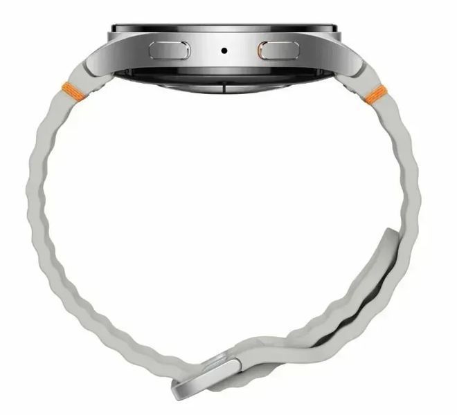 Смарт-годинник Samsung Galaxy Watch 7 44mm Silver (SM-L310NZSA) 612713 фото